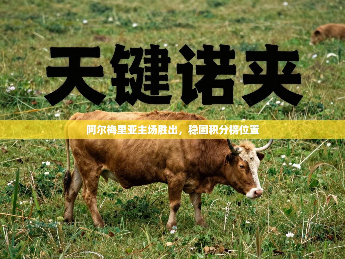 阿尔梅里亚主场胜出,稳固积分榜位置 第2张