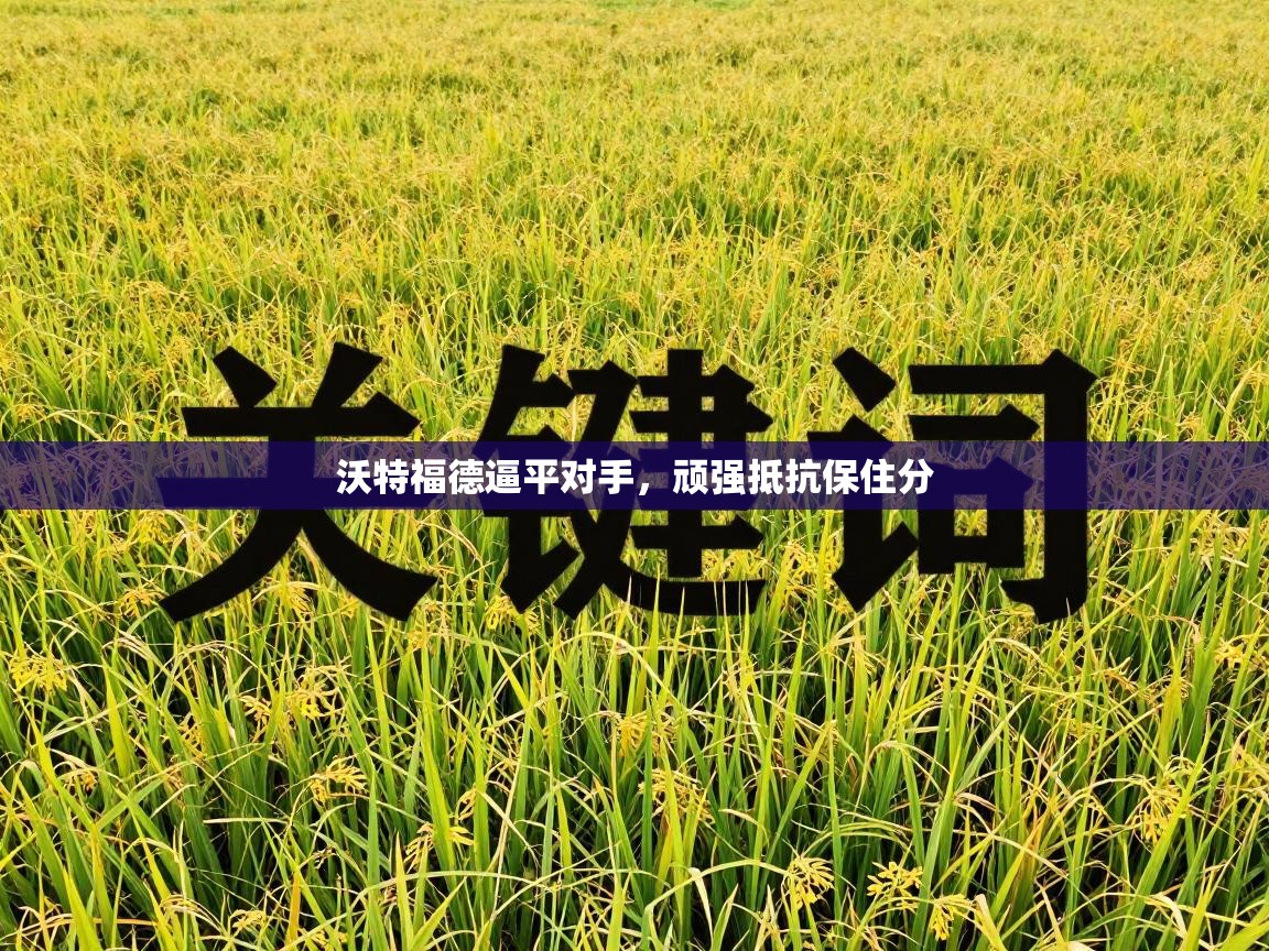 沃特福德逼平对手,顽强抵抗保住分 第2张