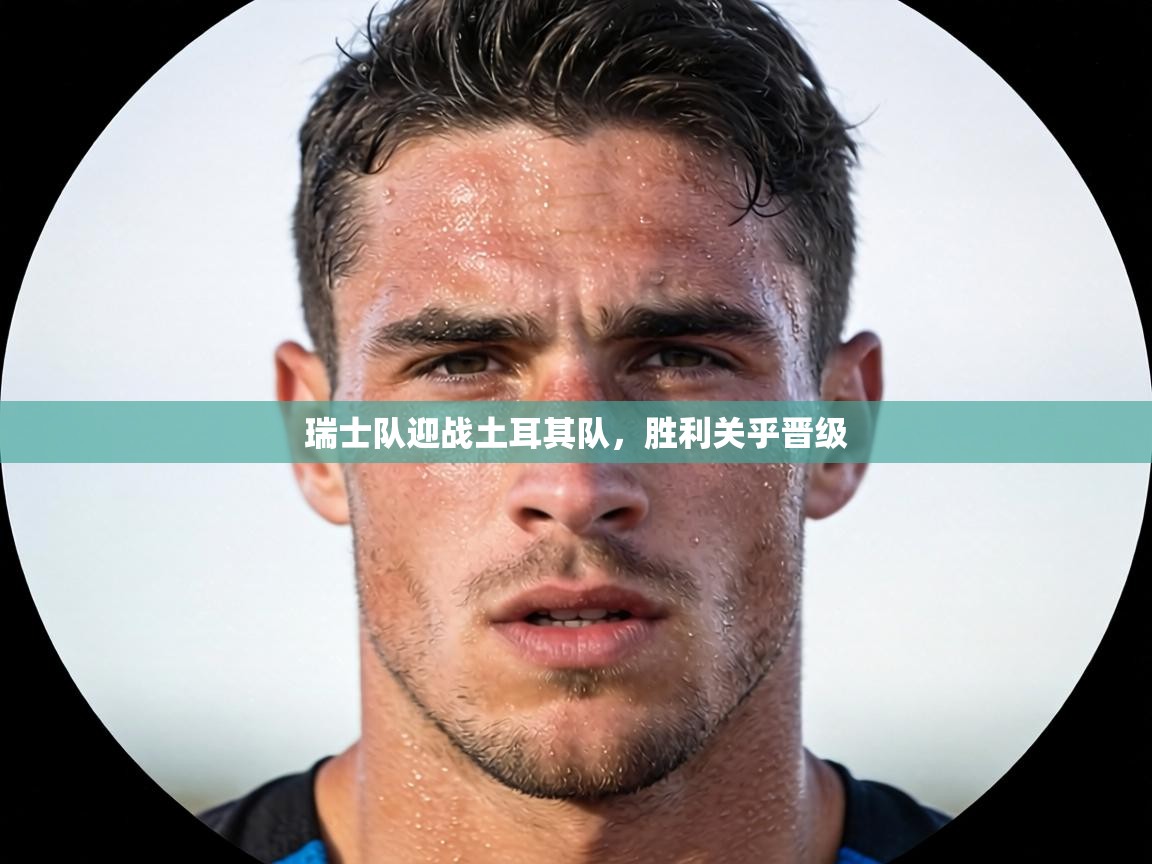 瑞士队迎战土耳其队，胜利关乎晋级  第1张