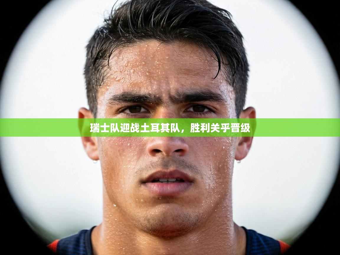 瑞士队迎战土耳其队，胜利关乎晋级  第2张